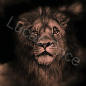 Lion Tattoos 20