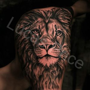 Lion Tattoos 79