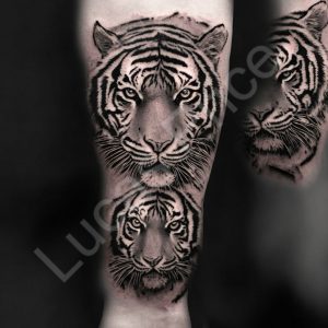 Tiger Tattoos 11