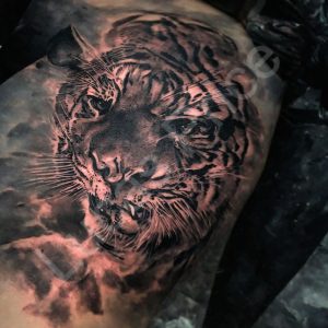 Tiger Tattoos 76
